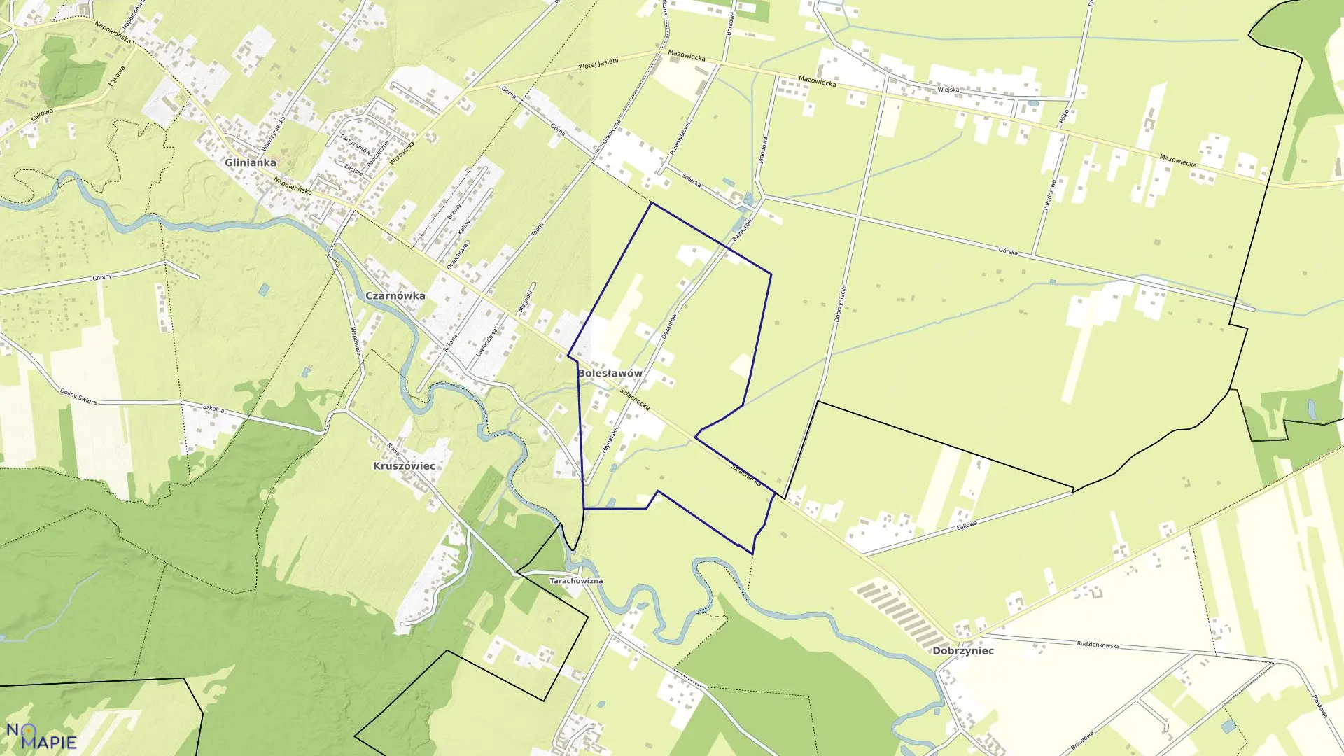 Mapa obrębu BOLESŁAWÓW w gminie Wiązowna